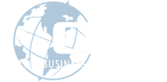 CBS Custom Business Solutions